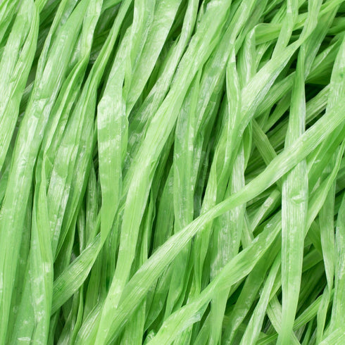 Luau Grass Table Skirt, Natural Hawaiian Table Skirt, Tropical Party Decorations, 9 Feet x 29.5 Inch (Green)