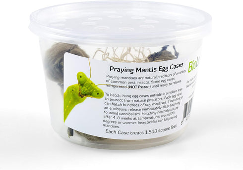 BioLogic Company, Inc. 2 Praying Mantis Egg Cases - Extra Large Cases