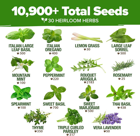 30 10,900+ Pack Set HOME GROWN Herb Seeds for Planting Non-GMO Heirloom Seeds | Extra Large Variety Herb Kit Indoor