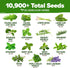 30 10,900+ Pack Set HOME GROWN Herb Seeds for Planting Non-GMO Heirloom Seeds | Extra Large Variety Herb Kit Indoor