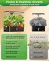 24W Adjustablewith,12 Hydroponics Growing System Kits,Smart Indoor Herb Garden with LED Grow Light Planting Height Pods