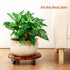 2 Pack 12 Inch 2 Pack Plant Caddy with Wheels Heavy Duty Wooden Plant Stand with Wheels Plant Dolly Rolling Plant Stand