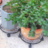 lucpur 3 Pack 12 Inch 3 Pack Metal Plant Stand with Wheels Plant Caddy Heavy Duty Wrought Iron Rolling Plant Stand