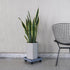 Sanbege 11" Plant Caddy with Wheels, Square Plant Pallet, Plant Pot Trolley (Grey)