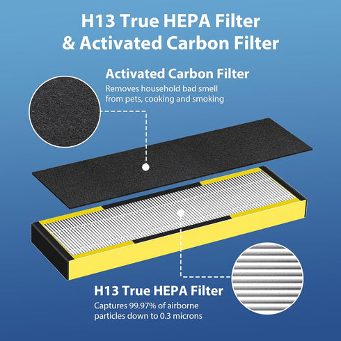 FLT4825 Filter B Replacement for Guardian, 2 H13 Hepa Filters + 8 Carbon Filters for Air Purifier