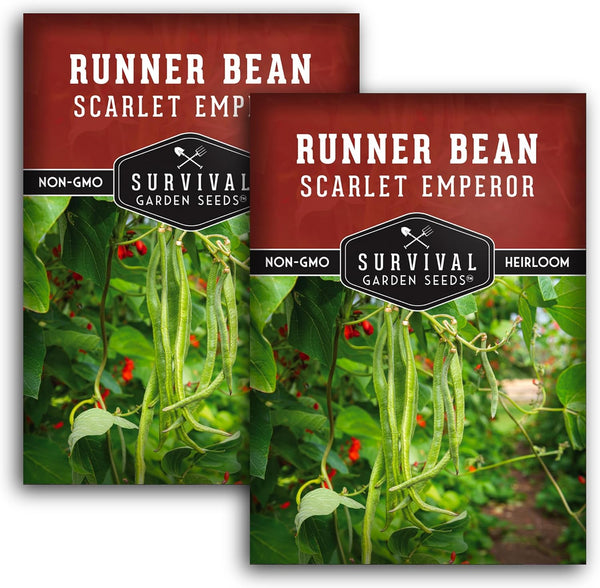 Survival Garden Seeds Scarlet Emperor Runner Bean Seeds for Planting - 2