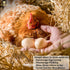 2 Pack SunGrow Fake Wooden Eggs to Train Birds from Laying in The Nesting Boxes & to Stop from Eating Own Eggs, Brown