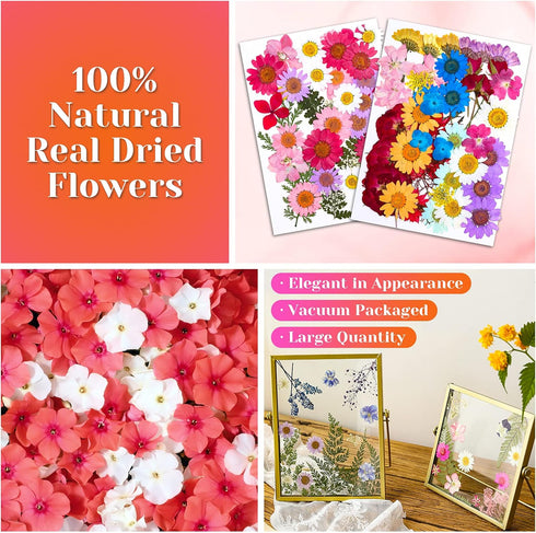 Real Dried Pressed Flowers for Resin, Natural Dry Flowers Leaves Bulk Kit for DIY Scrapbooking & Art Crafts