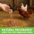 8oz Farm Party Herbal Hootenanny Chicken Nesting Herbs - Chicken Dust Bath Mix Deodorizer Keeps Nest Boxes & Coop Fresh