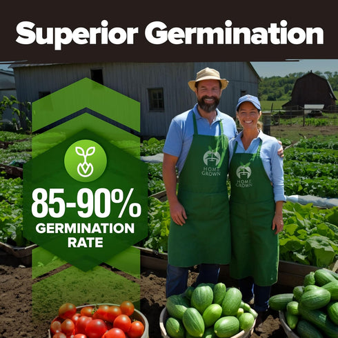 25 12,000+ HOME GROWN Variety Survival Seed Vault Heirloom Non-GMO Vegetable Seeds for Planting, High Germination