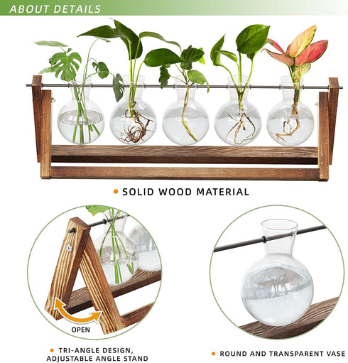 (5 Bulb CFMOUR Plant Terrarium with Wooden Stand, Desktop Propagation Stations Glass Air Planter Metal Swivel Holder