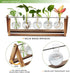 (5 Bulb CFMOUR Plant Terrarium with Wooden Stand, Desktop Propagation Stations Glass Air Planter Metal Swivel Holder