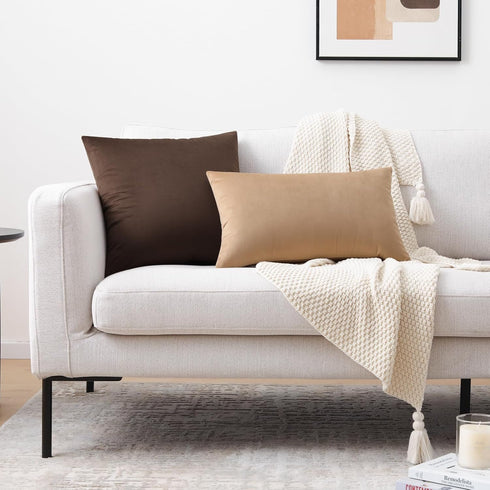 Mixhug Set of 2 Cozy Velvet Square Decorative Throw Pillow Covers, Coffee Brown, 18 x 18 Inches for Couch and Bed