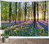 HVEST Forest Sunshine Tapestry, Spring Tapestry Wall Hanging, Nature Landscape Decor for Living Room Bedroom 40L x 60W