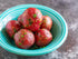 Bulbs 2026-2 TomorrowSeeds - Pontiac Red Seed Potatoes - USDA Certified for Growers Size B NonGMO Potato Tubers Growing