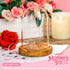 5.1" 3.9" ZEERSHEE Small Cloche Glass Dome with Wooden Base, Glass Display Dome Bell Jar for Plants, Keepsakes