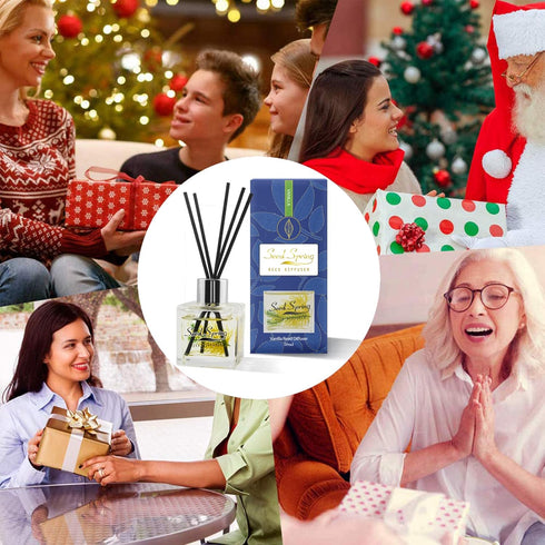 Reed Diffuser Set with Sticks, Vanilla Scent Oil for Bedroom, Office, Gym, Home Fragrance Products 50 ml / 1.7 oz