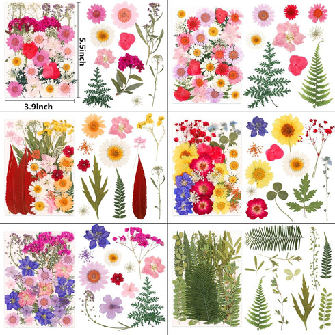 420 NESCCI Pcs Dried Pressed Flowers for Resin,Real Nature Dried Flowers for Crafts Bulk Dry Flowers Leaves Kit Used