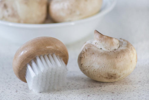 Fox Run Wood Mushroom Brush, Nylon Bristles, 2 x 2 x 1.25 inches