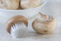 Fox Run Wood Mushroom Brush, Nylon Bristles, 2 x 2 x 1.25 inches