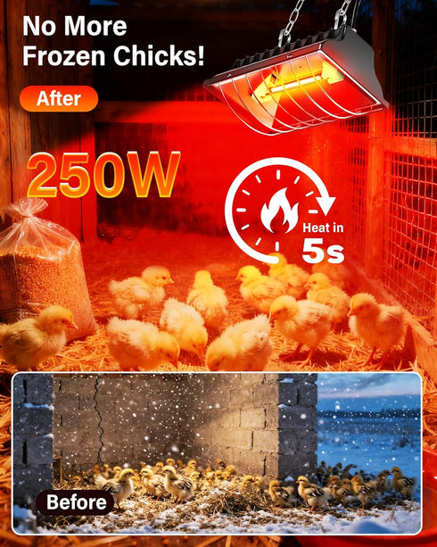 175W 250W 3M Chicken Coop Heater, ZIVASA & Dual-Mode Heat Lamp for Chickens with Cord, Adjustable Hanging Height