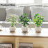 ChopiLine 3 Pack Artificial Plants Stems with Vase, Fake Plants for Home Decor, Coffee Table Centerpieces, Office