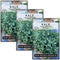 Sow Right Seeds - Dwarf Siberian Improved Kale Seed for Planting -