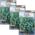 Sow Right Seeds - Dwarf Siberian Improved Kale Seed for Planting -