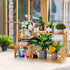 2 Lawei Tier Bamboo Tabletop Plant Stand, Adjustable Flower Pot Holder Shelf Planter Display Stand, Small Desktop
