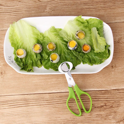 6Pcs Quail Egg Cutter Scissors, Kitchen Egg Shears Tool (Green)