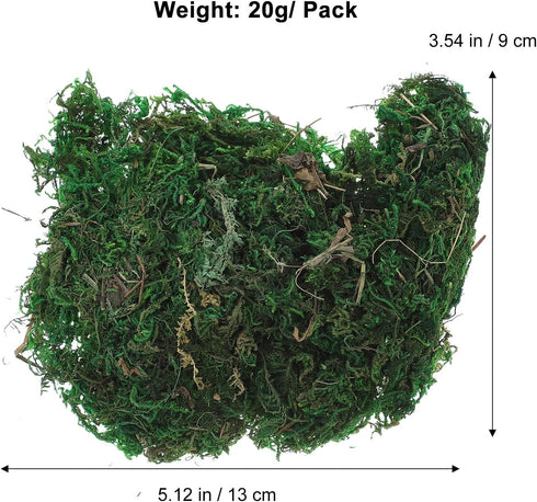Garneck Artificial Moss Lichen - Simulation Fake Moss for DIY Green Decorative Potted Plants, 20g