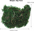 Garneck Artificial Moss Lichen - Simulation Fake Moss for DIY Green Decorative Potted Plants, 20g
