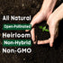 14,500+ 33 Vegetable & Fruit Seeds - Heirloom Varieties for a Bountiful Garden - Grow Tomatoes, Lettuce, Beans, More