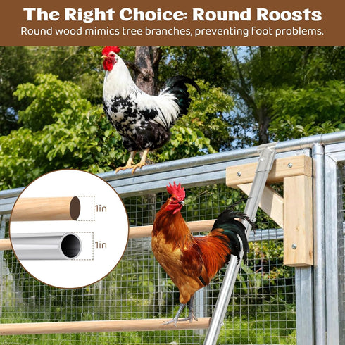 ANNDING 55 Inch Large Chicken Roosting Bars, Chicken Perch for Coop with Metal Frame, Sturdy Roosting Ladder for Hens