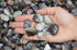 1/2 lb Tumbled Grey Botswana Agate Stones from Africa - Fantasia Materials, 1" to 1.25" avg. (Size #7)