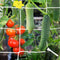 YHmall 2 Pack 5x15 Ft Heavy Duty Trellis Netting for Climbing Plants with 50 Pcs Garden Ties, Outdoor Grow Net