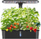 Hydroponics Growing System Kits,Smart Indoor Herb Garden with 24W LED Grow Light