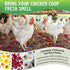Dunkive 21Oz (1.3 6 Packaging Chicken Nesting Herbs Pounds), Natural Dried Nesting Herbs for Chicken Coop, Aromatic Hen