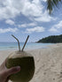 Stainless Steel Straws (Tall)