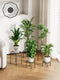 5-Pack Metal Plant Stands for Outdoor Indoor, Anti-Rust Iron Flower Pot Stand,