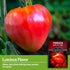 (1 Pack) Pink Oxheart Tomato Seeds for Planting Indeterminate Heirloom Variety Large, Meaty, Heart-Shaped Tomatoes