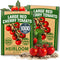 HOME GROWN Large Red Cherry Tomato Seeds 2 Pack (Solanum lycopersicum) -