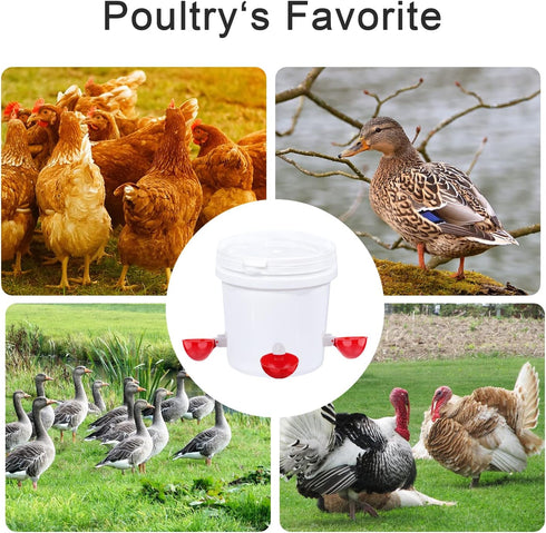 Darcvds 8 Packs Professional Chicken Waterer Cups, Large Chicken Water Feeder, Tee Fittings Poultry Waterer Suitable
