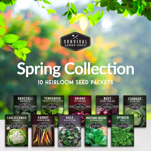 10 Pack Spring Vegetable Seed Collection for Planting | Cool Season Root Vegetables & Leafy Greens, Suitable for Fall