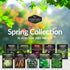 10 Pack Spring Vegetable Seed Collection for Planting | Cool Season Root Vegetables & Leafy Greens, Suitable for Fall