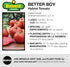 3 6 Pack Bonnie Plants Better Boy Tomato Plug, Live Plant, for Burgers, Salsa, and Sauces, Full Sun, Cubic in.