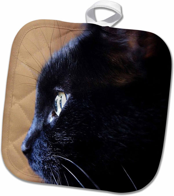 3D Rose Extreme Close-up of Black Cat Pot Holder, 8" x 8"