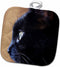3D Rose Extreme Close-up of Black Cat Pot Holder, 8" x 8"