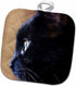 3D Rose Extreme Close-up of Black Cat Pot Holder, 8" x 8"