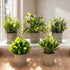Set 5, AUUGUU Artificial Potted Plants of Realistic Faux Greenery in Cement Pots for Home Office Desk Bookshelf Decor